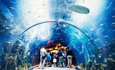 The Lost World Aquarium Tickets at Atlantis The Palm Dubai