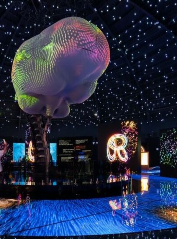 مغامرة ترفيهية فريدة في AYA Universe دبي