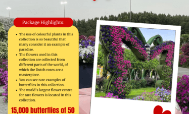 أجواء طبيعية خلابة بين الفراشات في حديقة الفراشات بدبي.