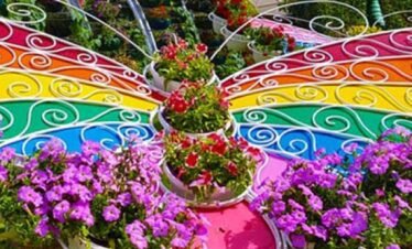 تجربة استكشاف ألوان وروعة الفراشات في حديقة الفراشات دبي.