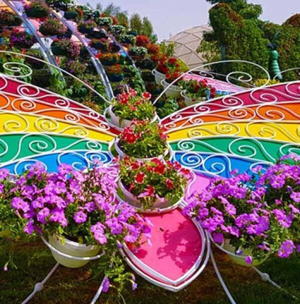 تجربة استكشاف ألوان وروعة الفراشات في حديقة الفراشات دبي.