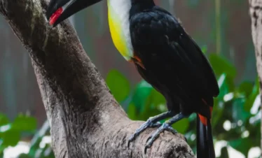 تجربة مميزة في الكوكب الأخضر في دبي