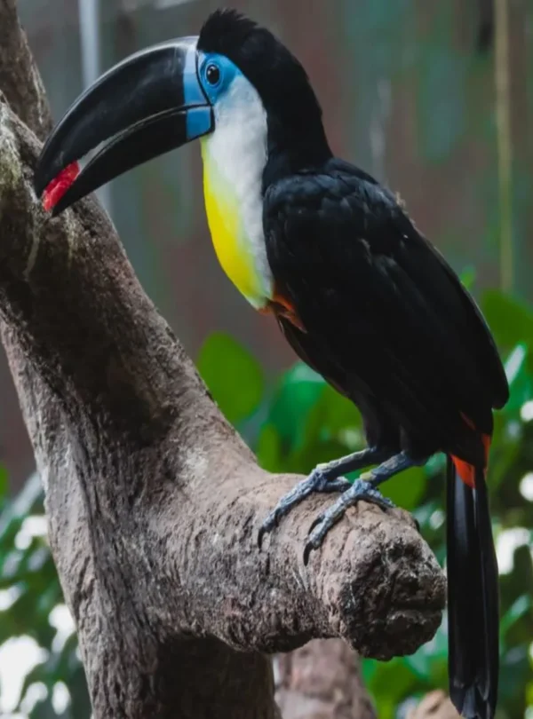 تجربة مميزة في الكوكب الأخضر في دبي