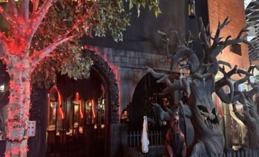 مغامرات لا تُنسى في IMG وورلدز أوف أدفنتشر دبي لجميع أفراد العائلة