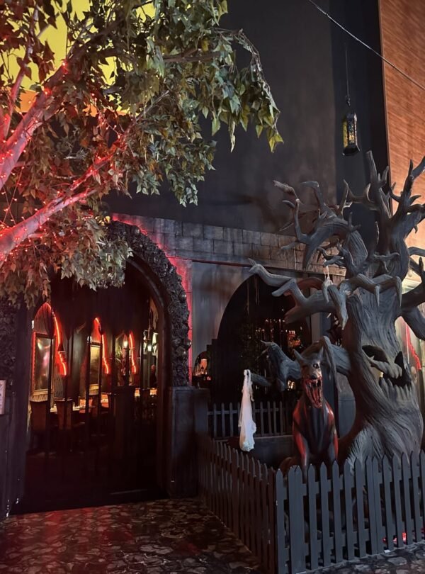 مغامرات لا تُنسى في IMG وورلدز أوف أدفنتشر دبي لجميع أفراد العائلة