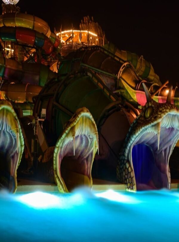 مغامرة مائية مثيرة لجميع الأعمار في ياس ووتر وورلد أبوظبي.