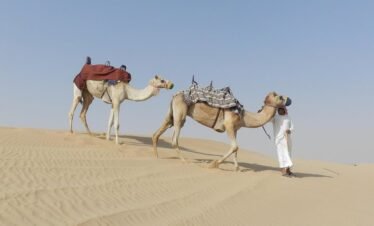 ركوب الجمال في صحراء دبي - تجربة صحراوية ممتعة
