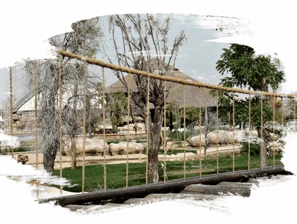 التمتع بمشاهدة الحيوانات النادرة في حديقة دبي