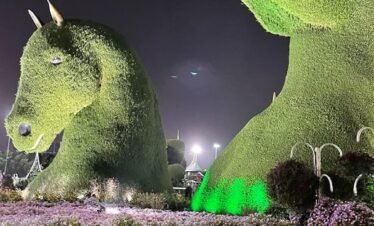 صورة بانورامية لحديقة الفراشات في دبي مع المناظر الطبيعية الخلابة.