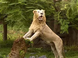 رحلة عائلية ممتعة في حديقة الحيوانات في دبي