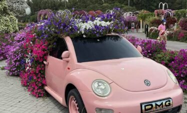 استمتع بجولة تفاعلية مع الفراشات الملونة في دبي.