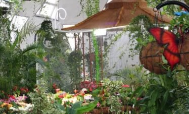 منظر رائع لعشاق الطبيعة في حديقة الفراشات دبي.