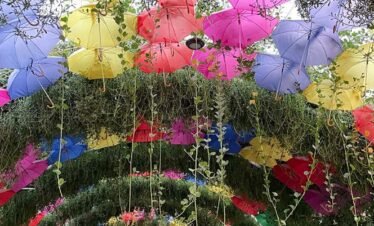 جولة ممتعة في حديقة الفراشات مع آلاف الأنواع النادرة.