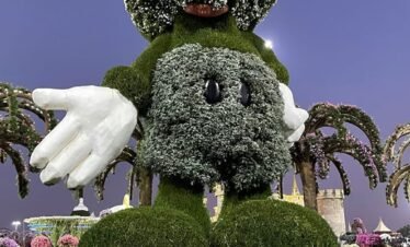 منظر ساحر للفراشات داخل حديقة الفراشات في دبي.