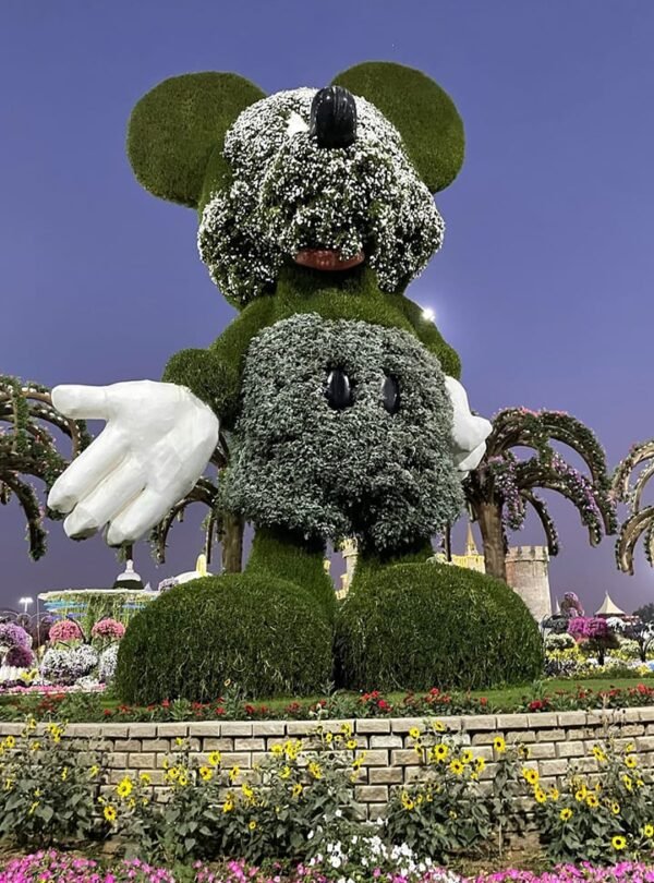 منظر ساحر للفراشات داخل حديقة الفراشات في دبي.