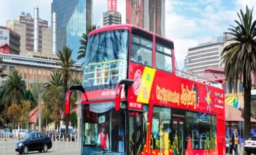 استمتع بجولة بانورامية في دبي مع باص Big Bus