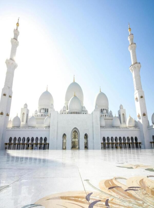 استكشاف جامع الشيخ زايد في جولة مدينة أبوظبي
