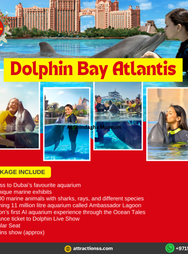 اكتشف العالم البحري عن كثب مع الدلافين في خليج الدلافين أتلانتس دبي