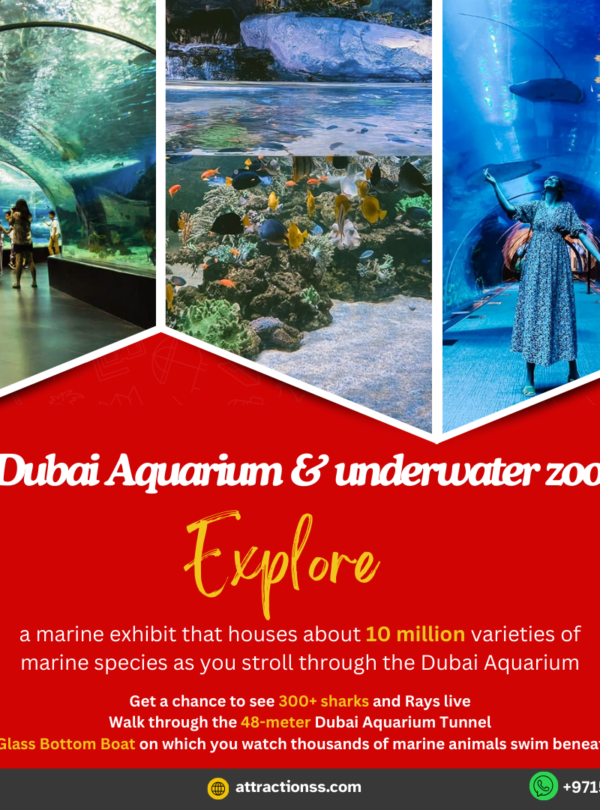 صور من أكواريوم دبي وحديقة الحيوانات