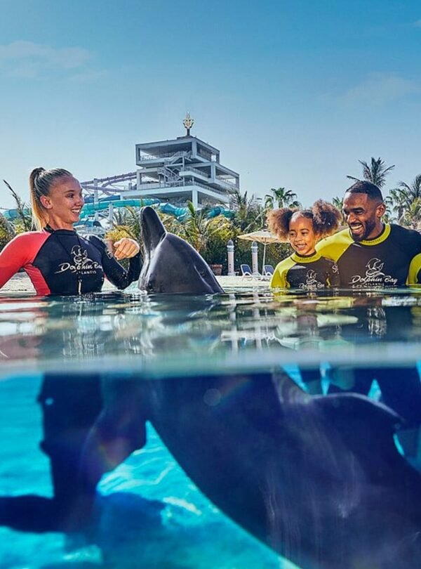 لحظة ساحرة أثناء السباحة مع الدلافين في خليج الدلافين أتلانتس دبي