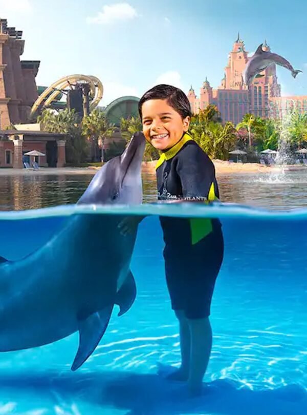 دلافين في خليج الدلافين أتلانتس دبي، تجربة فريدة مع هذه الكائنات البحرية الرائعة.