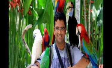 طيور استوائية ملونة في عرض الطيور الاستوائية دبي.