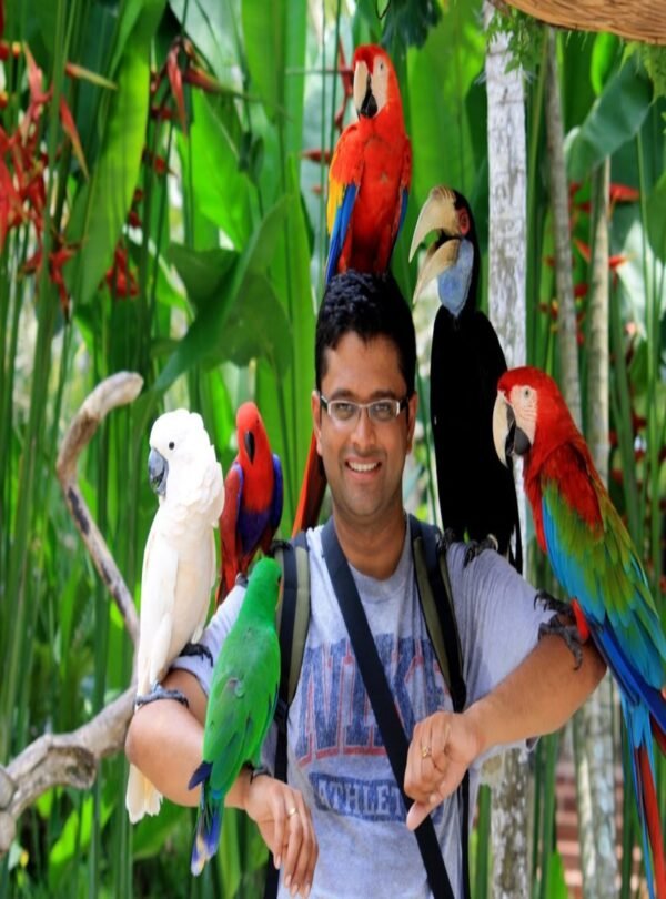 طيور استوائية ملونة في عرض الطيور الاستوائية دبي.